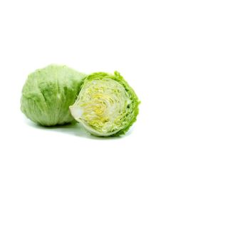 Compra LECHUGA HORISHA Pildorada (25.000 Semillas) en la tienda online Fito Agrícola