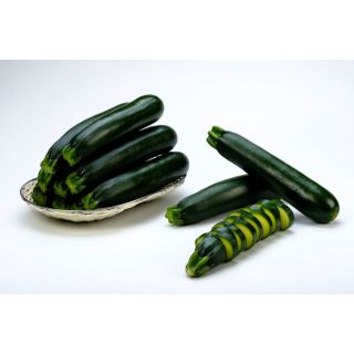 Compra CALABACÍN ISLETA F1 (1.000 Semillas) en la tienda online Fito Agrícola