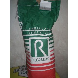 Compra JUDÍA AMETHYST (5 kgr.) en la tienda online Fito Agrícola