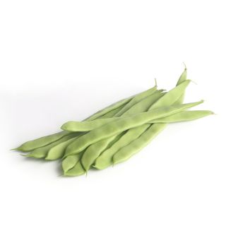 Compra JUDÍA FRASEDA RZ Precisión (1000 Semillas). en la tienda online Fito Agrícola