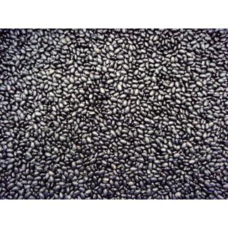 Compra JUDÍA BLACK TURTLE (25.000 Semillas) en la tienda online Fito Agrícola