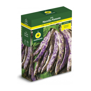 Compra JUDÍA MARAVILLA PIAMONTE – Tipo Boca de Dragón (100 gr.). en la tienda online Fito Agrícola