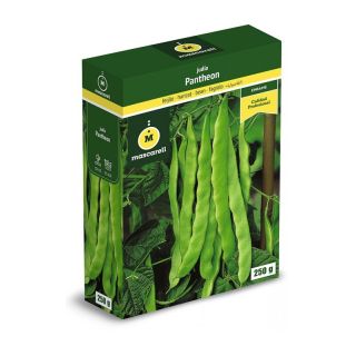 Compra JUDÍA PANTHEON (5 Kgr.). en la tienda online Fito Agrícola