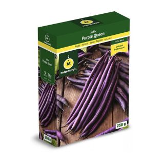 Compra JUDÍA PURPLE QUEEN (5 Kgr.). en la tienda online Fito Agrícola