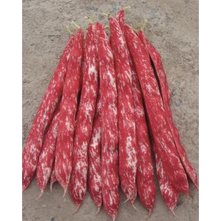 Compra JUDÍA ARCOBALENO (5 Kgr.) en la tienda online Fito Agrícola