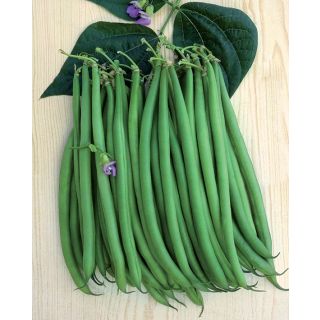 Compra JUDÍA EL MORO (25.000 Semillas). en la tienda online Fito Agrícola