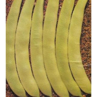 Compra JUDÍA GARRAFAL ENANA (5 Kgr.). en la tienda online Fito Agrícola