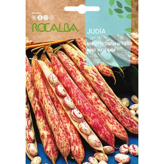 Compra JUDÍA LENGUA DE FUEGO NANO (25 Kgr.) en la tienda online Fito Agrícola