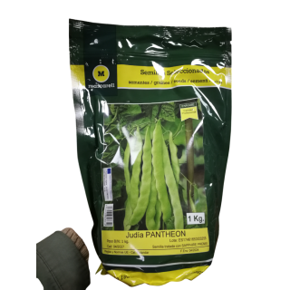 Compra JUDÍA PANTHEON (1 Kgr.). en la tienda online Fito Agrícola