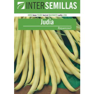 Compra JUDÍA ROCQUENCOURT (25 Kgr.). en la tienda online Fito Agrícola