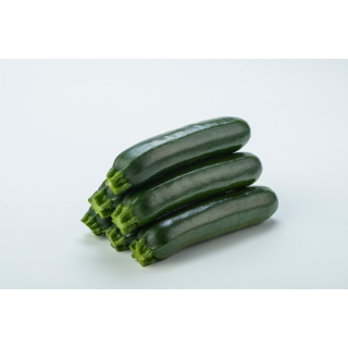 Compra CALABACÍN KAI F1 (1.000 Semillas) en la tienda online Fito Agrícola