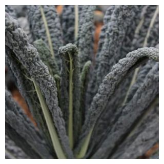 Compra COL KALE COBRA F1 (2.500 Semillas) en la tienda online Fito Agrícola