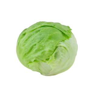 Compra LECHUGA KEALIA Píldora Sphera (25.000 Semillas) en la tienda online Fito Agrícola