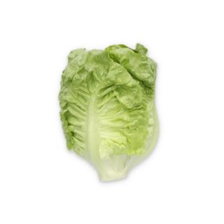 Compra LECHUGA ABERIN RZ Pildorada (5.000 Semillas). en la tienda online Fito Agrícola