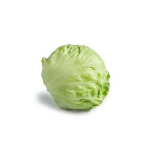 Compra LECHUGA ADANAS RZ Pildorada (5.000 Semillas). en la tienda online Fito Agrícola