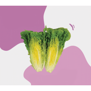 Compra LECHUGA AUGORAL Pildorada (25.000 Semillas) en la tienda online Fito Agrícola