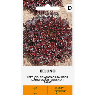 Compra LECHUGA BELLINO (0,3 gr. - Cerca de 250 Semillas). en la tienda online Fito Agrícola