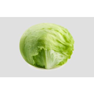 Compra LECHUGA COVADONGA Pildorada (1.000 Semillas) en la tienda online Fito Agrícola