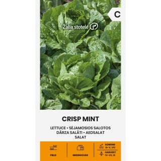 Compra LECHUGA CRISP MINT (1 gr. - Cerca de 800 Semillas). en la tienda online Fito Agrícola