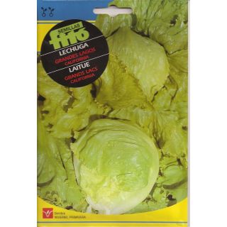 Compra LECHUGA GRANDES LAGOS CALIFORNIA (100 gr.). en la tienda online Fito Agrícola