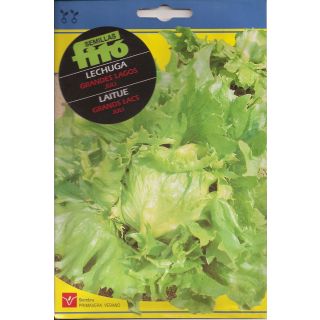 Compra LECHUGA GRANDES LAGOS JULI (100 gr.). en la tienda online Fito Agrícola