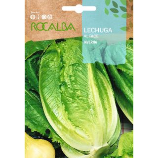 Compra LECHUGA INVERNA (6 gr.). en la tienda online Fito Agrícola