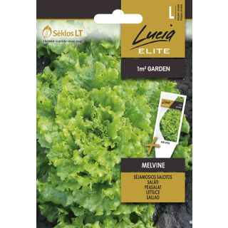 Compra LECHUGA MELVINE Pildorada (25 Semillas). en la tienda online Fito Agrícola