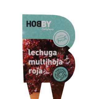 Compra LECHUGA MULTIHOJAS ROJA HOBBY FRESH M11 en la tienda online Fito Agrícola