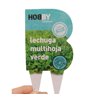 Compra LECHUGA MULTIHOJAS VERDE HOBBY FRESH MS6 en la tienda online Fito Agrícola