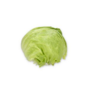 Compra LECHUGA SENDANAS RZ Pildorada (5.000 Semillas). en la tienda online Fito Agrícola