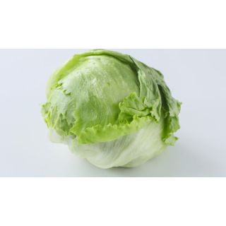 Compra LECHUGA SIBERIKA RZ Pildorada (5.000 Semillas). en la tienda online Fito Agrícola