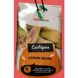 Compra LEMON GRASS (3 Unid.). en la tienda online Fito Agrícola
