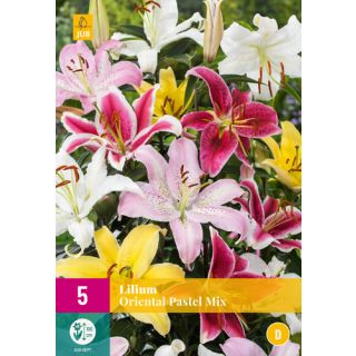 Compra LILIUM ORIENTAL PASTEL MIX XXL en la tienda online Fito Agrícola