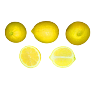 Compra LIMONERO EUREKA - 17 en la tienda online Fito Agrícola