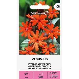 Compra LYCHNIS ARKWRIGHTII VESUVIUS (0,5 gr. - Cerca de 375 Semillas). en la tienda online Fito Agrícola