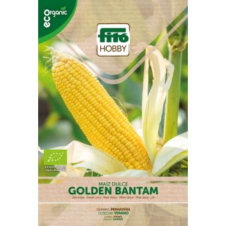 Compra MAÍZ DULCE GOLDEN BANTAM ECOLÓGICO (ORGÁNICO) (2 gr.) en la tienda online Fito Agrícola