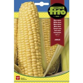 Compra MAÍZ DULCE JUBILEE (1 Kgr.) en la tienda online Fito Agrícola