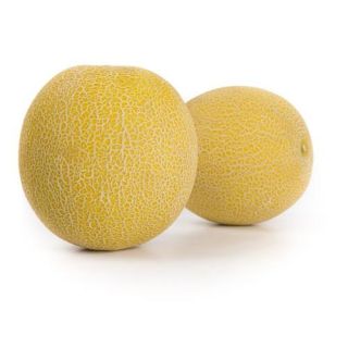 Compra MELÓN ALCAZABA RZ F1 Precisión (1.000 Semillas). en la tienda online Fito Agrícola