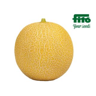 Compra MELÓN BRISTOL F-1 (1.000 Semillas) en la tienda online Fito Agrícola