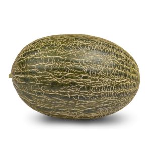 Compra MELÓN CALLEJON F-1 (1000 Semillas). en la tienda online Fito Agrícola