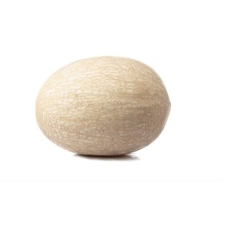 Compra MELÓN ESRIVEL F-1 (1000 Semillas). en la tienda online Fito Agrícola