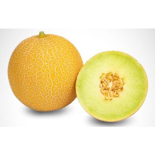 Compra MELÓN MOJACAR F-1 (1.000 Semillas) en la tienda online Fito Agrícola