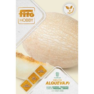 Compra MELÓN ALQUEVA F1 (40 Semillas). en la tienda online Fito Agrícola