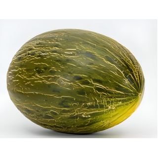 Compra MELÓN ARALCO F1 (1.000 Semillas) en la tienda online Fito Agrícola