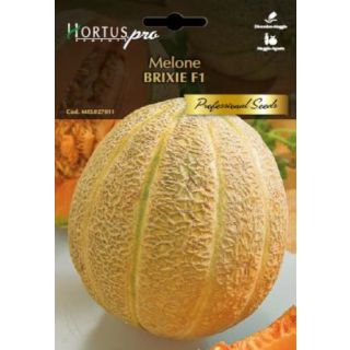 Compra MELÓN BRIXIE F1 (1 gr.) en la tienda online Fito Agrícola