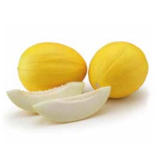 Compra MELÓN CHESTER F1 (1.000 Semillas). en la tienda online Fito Agrícola