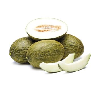 Compra MELÓN GRACIANO (1.000 Semillas). en la tienda online Fito Agrícola