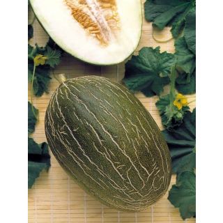 Compra MELÓN ROCHET ( 100 gr.) en la tienda online Fito Agrícola