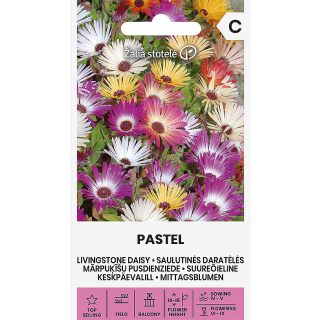 Compra MESSEM LIVINGSTONE DAISY PASTEL (1 gr. - Cerca de 550 Semillas) en la tienda online Fito Agrícola