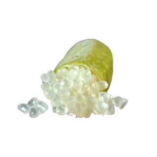 Compra MICROCITRUS FAUSTRIME - 25 en la tienda online Fito Agrícola